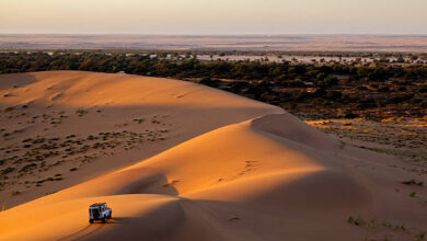 Desert Safari