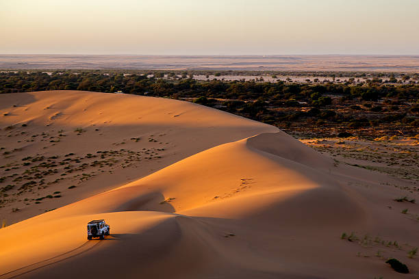 Desert Safari